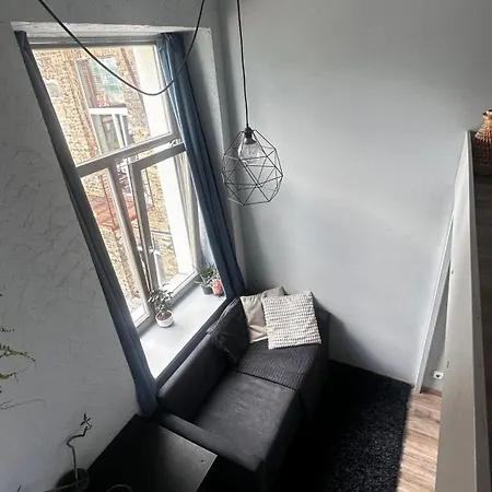 Apartment Cozy Loft Studio, One Open Space, In Great Location *
