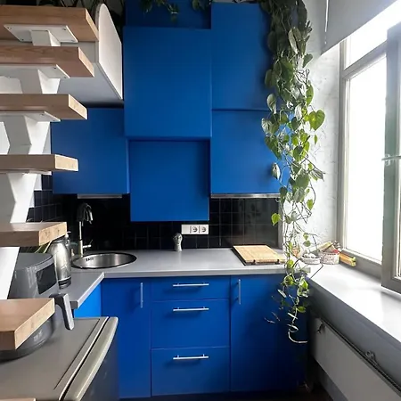 Cozy Loft Studio, One Open Space, In Great Location * Vilnius